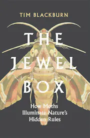 The Jewel Box