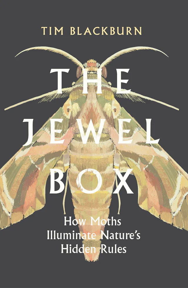 The Jewel Box