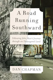 A Road Running Southward