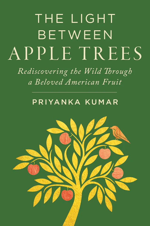 The Light Between Apple Trees