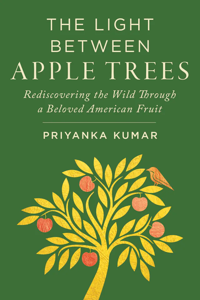 The Light Between Apple Trees