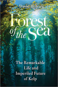 Forest of the Sea