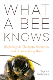 What a Bee Knows