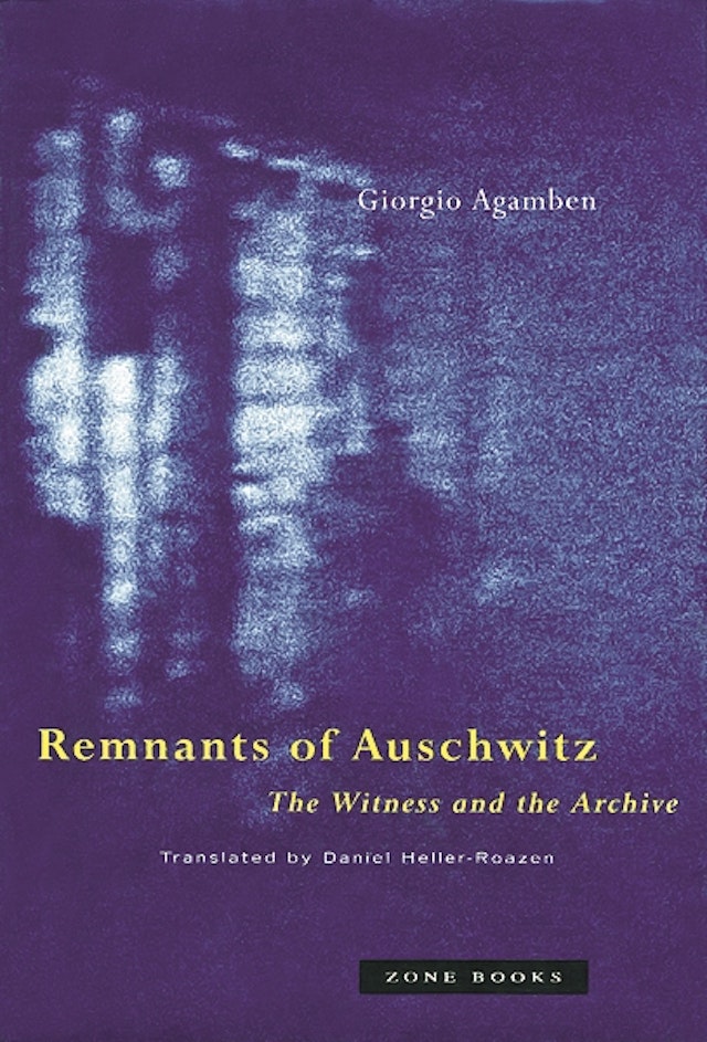 Remnants of Auschwitz