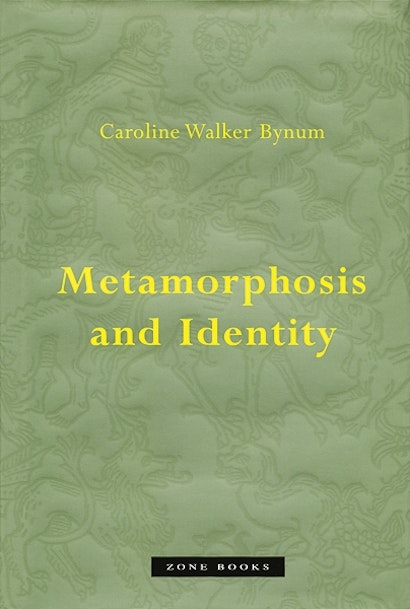 metamorphosis identity essay