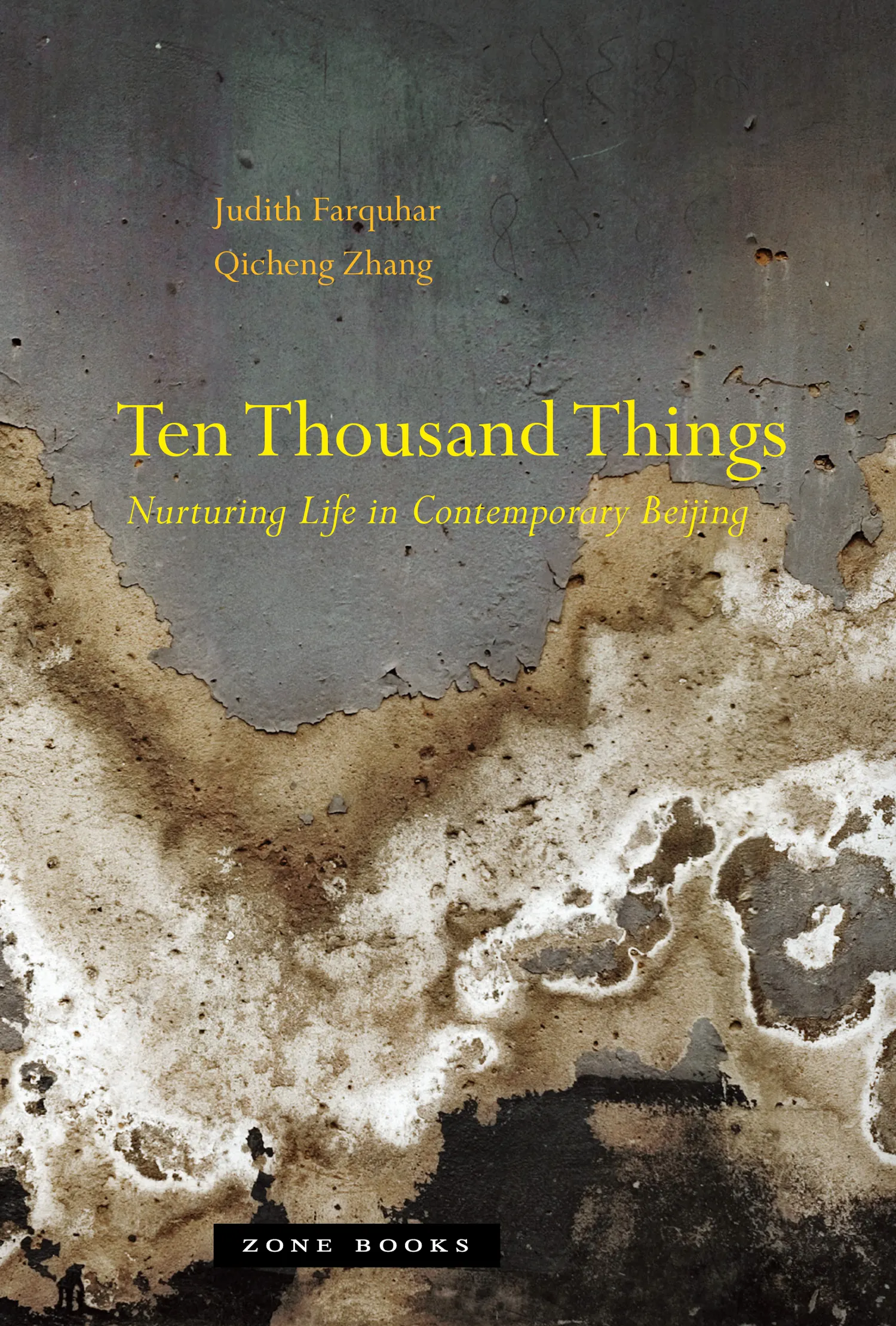 Ten Thousand Things | Princeton University Press