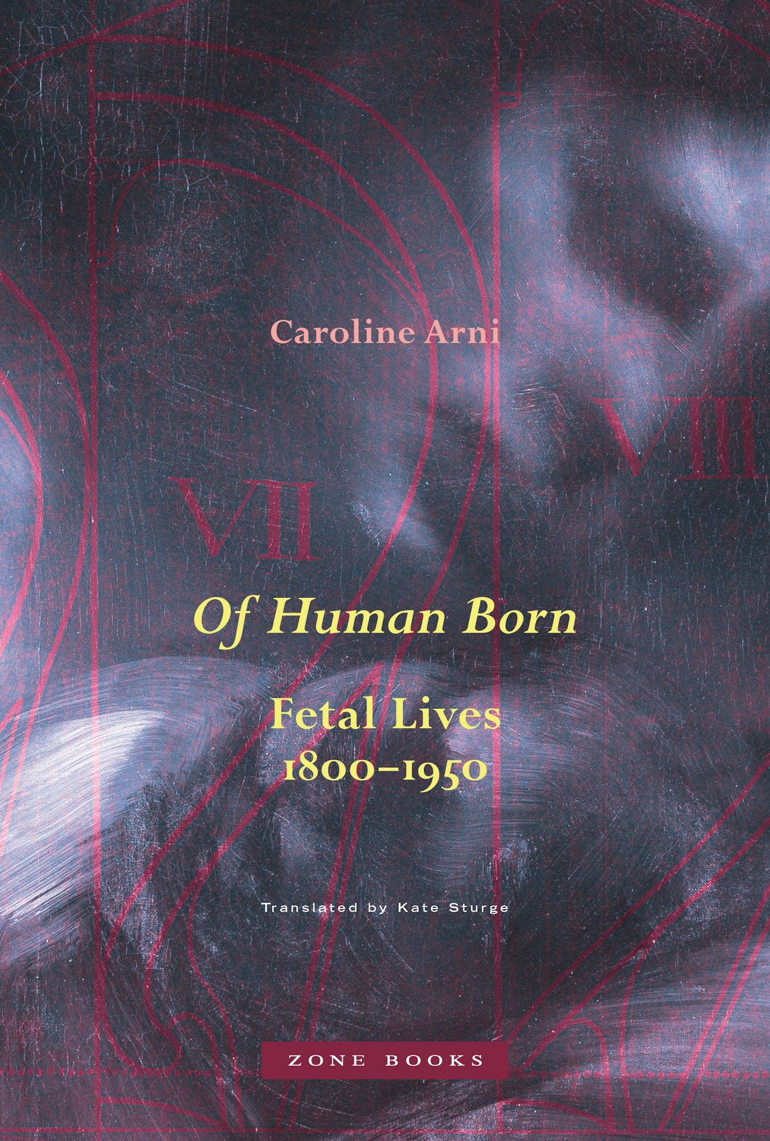 Of Human Born Princeton University Press 