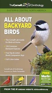 All About Backyard Birds- Eastern & Central North America