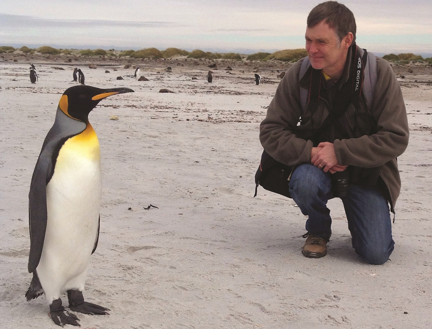 Britain's Mammals Updated Edition | Princeton University Press