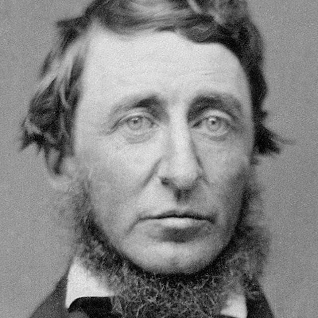 Henry David Thoreau | Princeton University Press